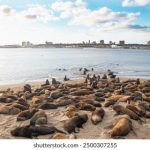 正在播放国产卡戴珊清晨 hi853q7