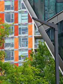 菠萝蜜视频在线免费 菠萝蜜视频在线免费